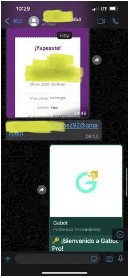 testimonio gabotpro15