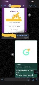 testimonio gabotpro20